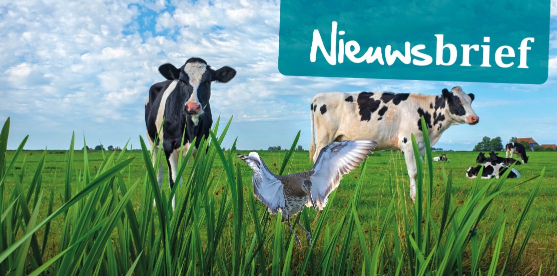 Volgende week verschijnt weer de maandelijkse nieuwsbrief voor onze leden en andere belangstellenden. 

Ook via die weg op de hoogte blijven van nieuws van en over It Lege Midden? Abonneer je dan via: itlegemidden.nl/aanmelden-nieu…

#ANLB #natuurbeheer #landschapsbeheer #boerennatuur