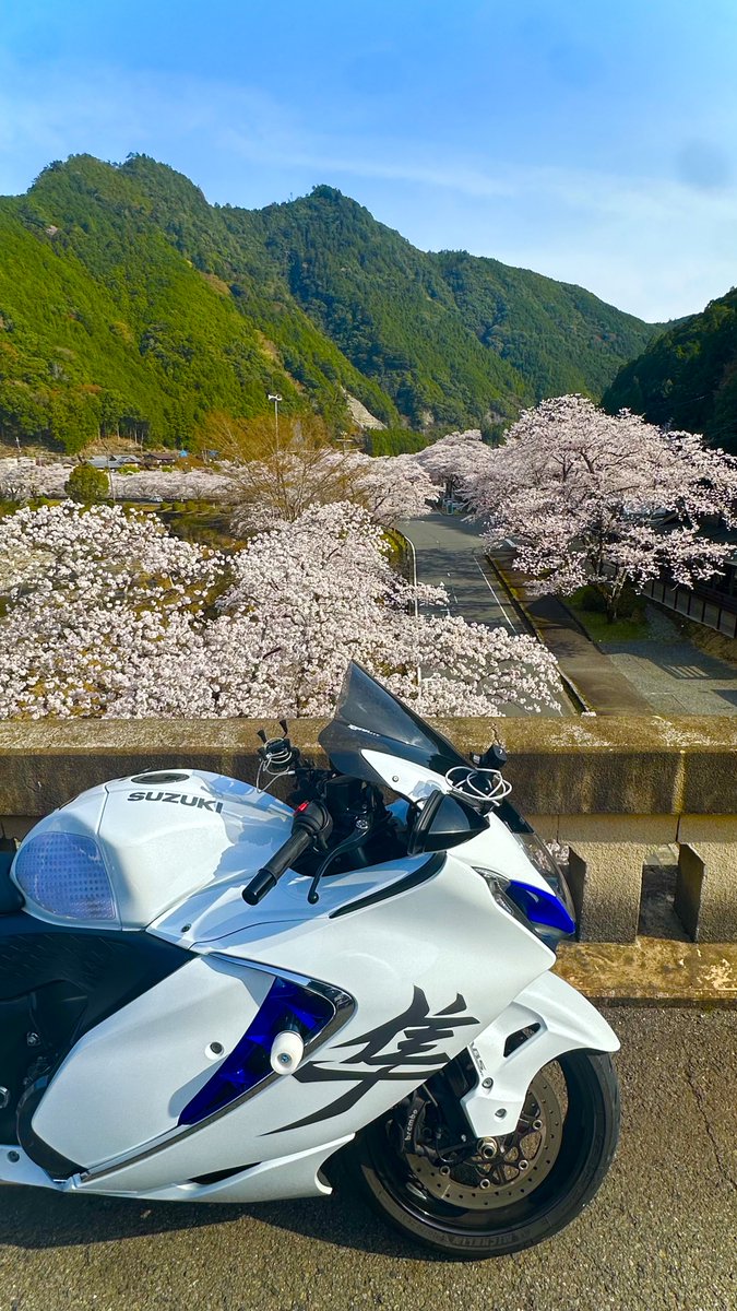 とらちゃん (@torachan675r1) / Posts / X