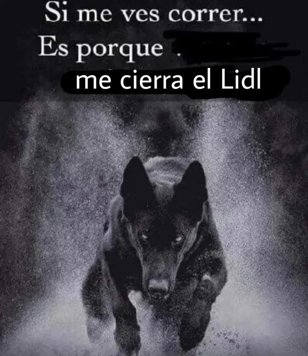 chincheto pirata somali (@wikipistacho) on Twitter photo 