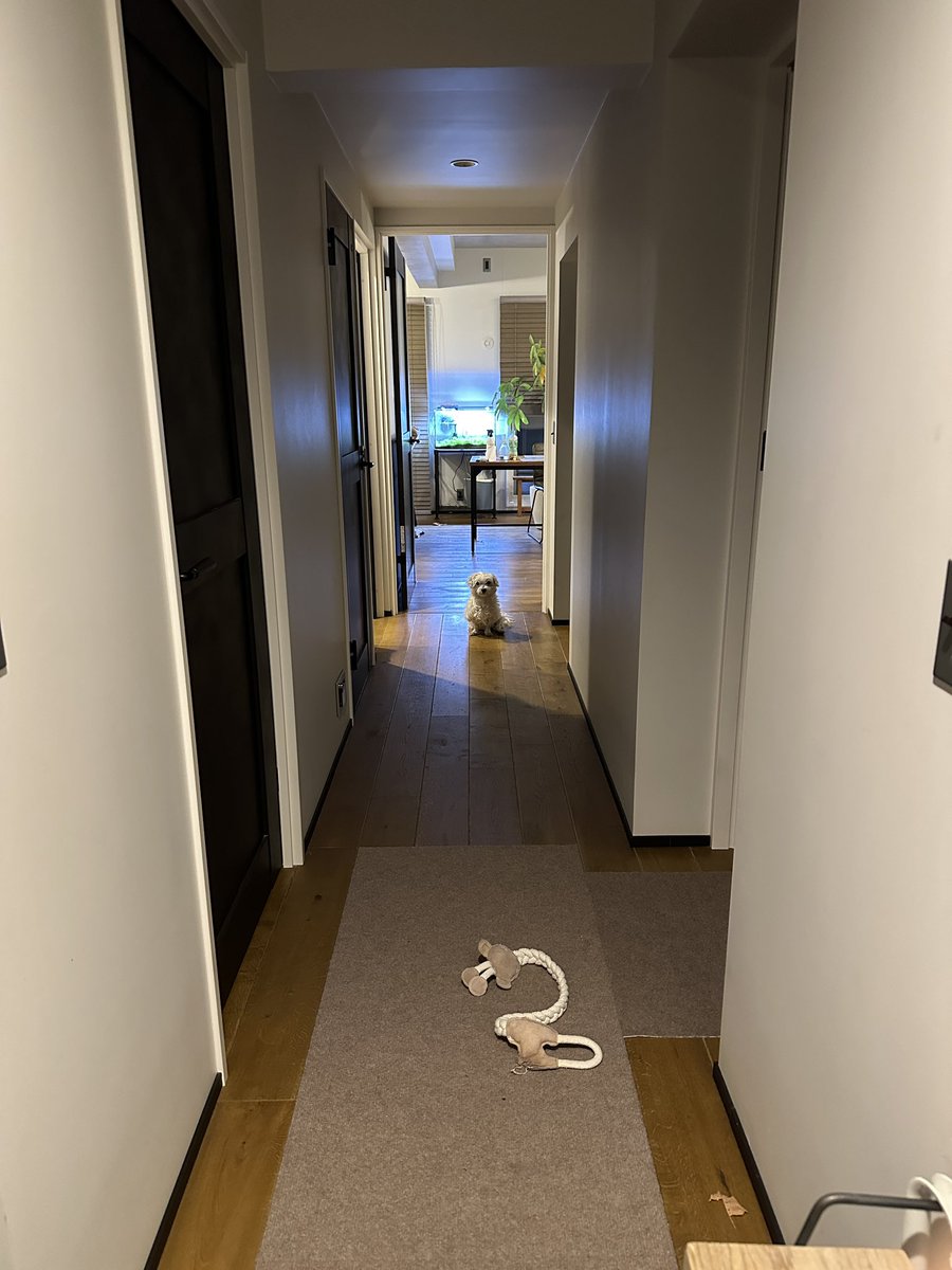 お出かけ時の見送りはいつもこの距離感…