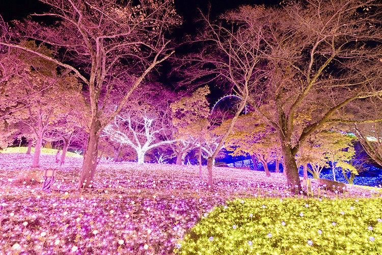 travelroad5's tweet photo. 5月18日まで神奈川県にあるアドベンチャーリゾート「さがみ湖MORI MORI」では、関東最大級600万球のイルミネーションイベント「さがみ湖イルミリオン」が開催されます✨ https://t.co/GRXrCHBD6H