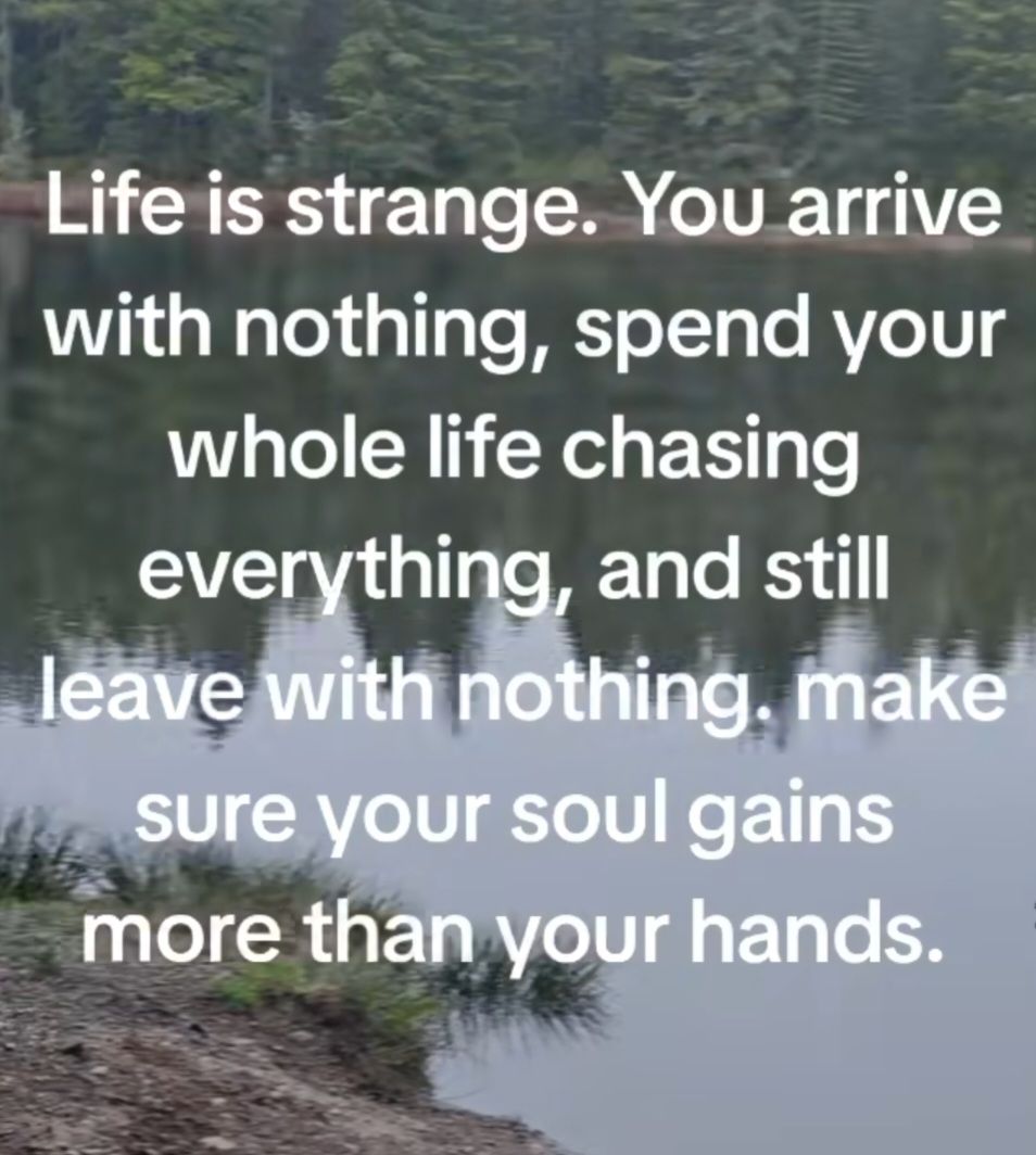 OverInDover's tweet image. GM