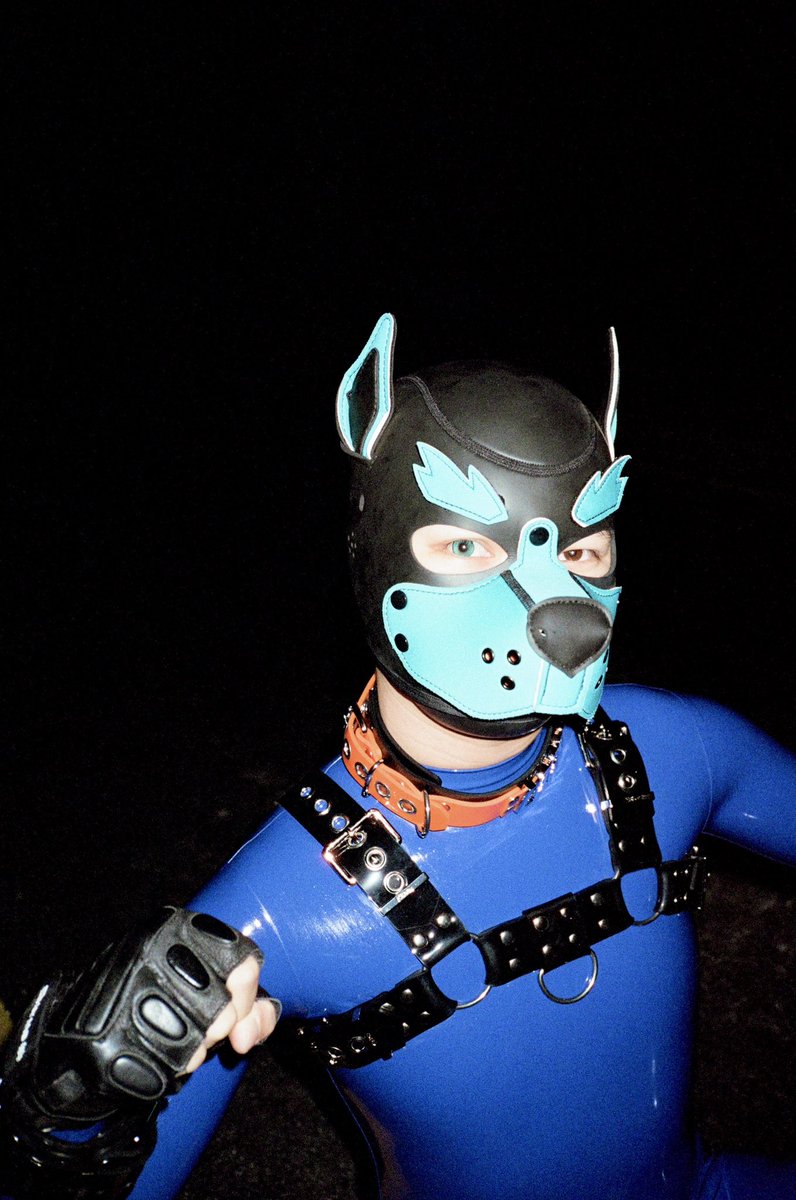 狗狗小源 tweet media