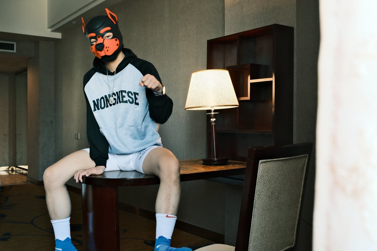 狗狗小源 tweet media