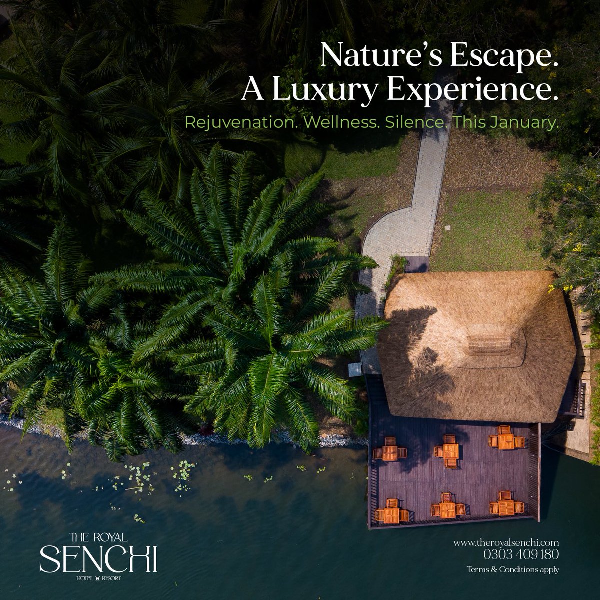 Less noise. More you ✨