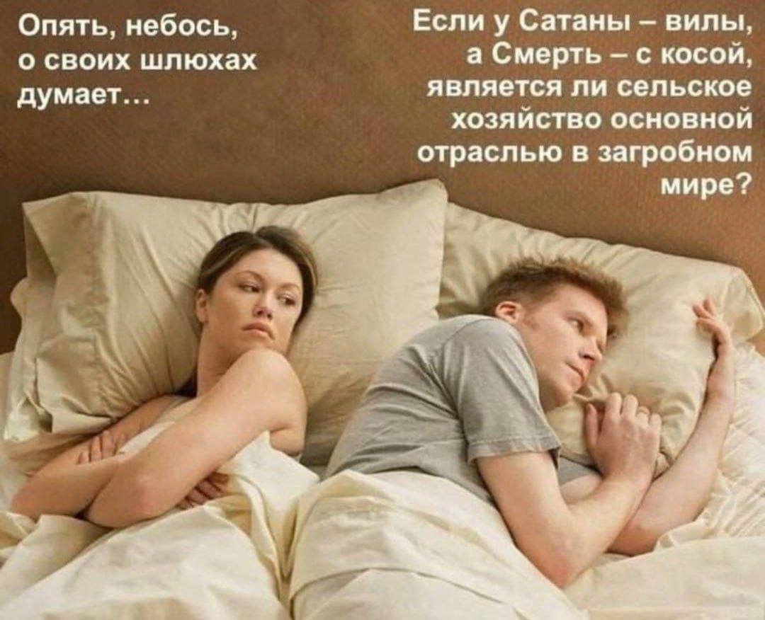 Sir К нига Жалоб tweet media