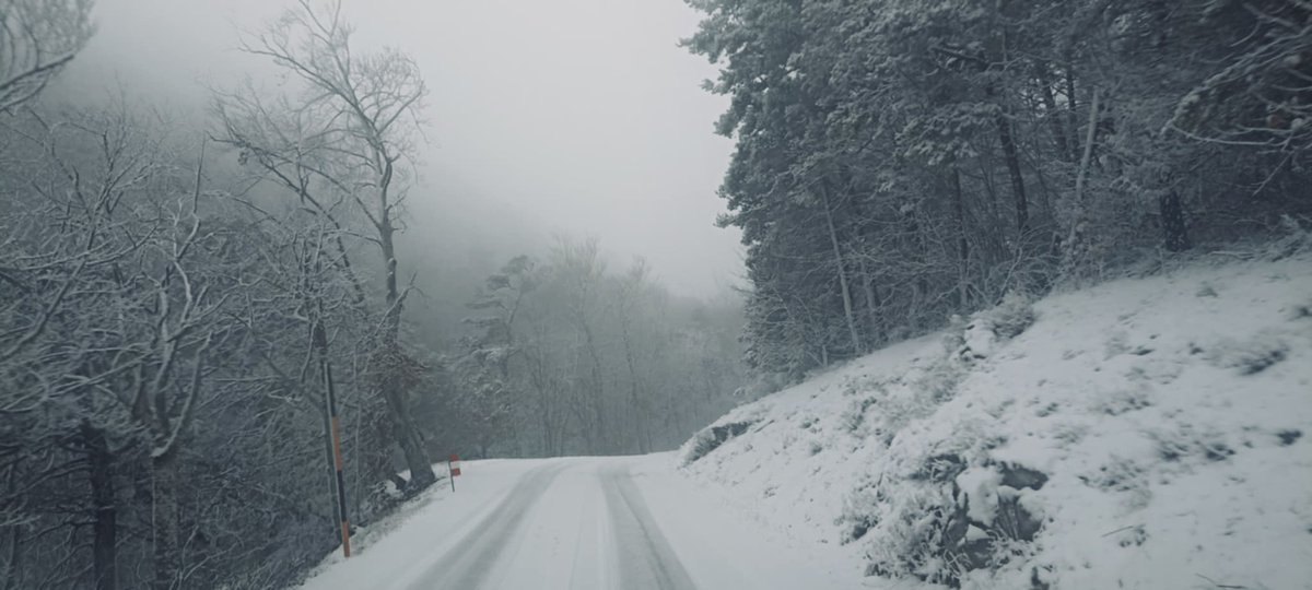 planetemarcus's tweet photo. #WRC #RallyeMonteCarlo 2026 conditions into ❄️ SS4/SS7 ❄️ • @ACM_Media @OfficialWRC https://t.co/pW6Hu3QdIw