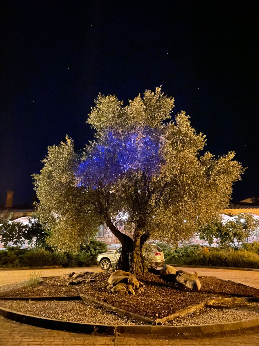 Hacienda Villarta tweet media