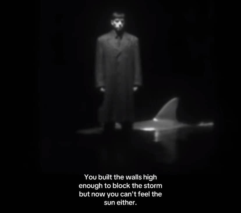 OneForSteph's tweet image. 