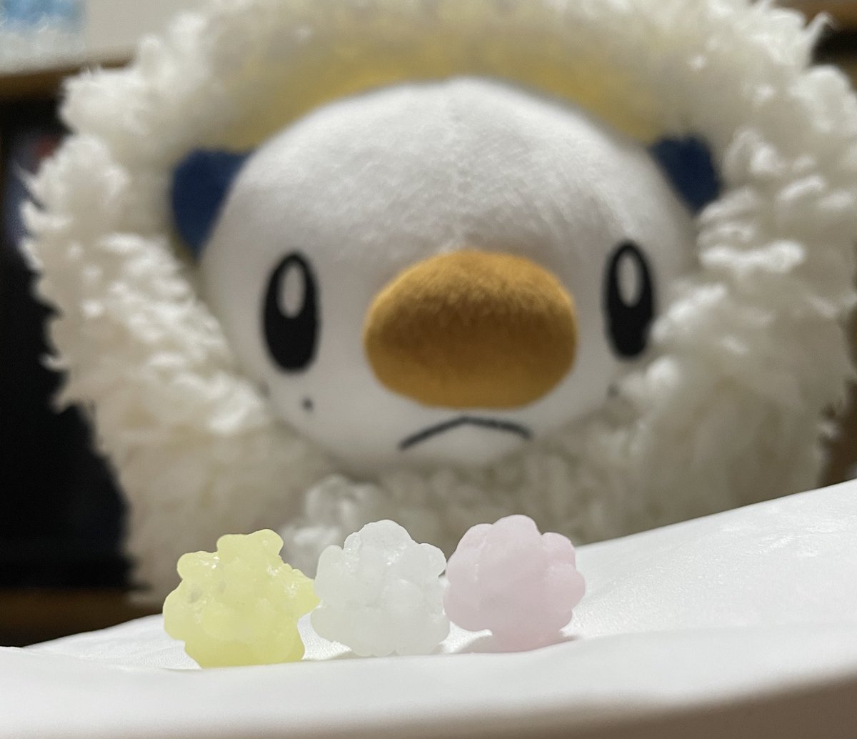 ミジュマルといっしょちゃんねる (@nuinui1103) on Twitter photo 