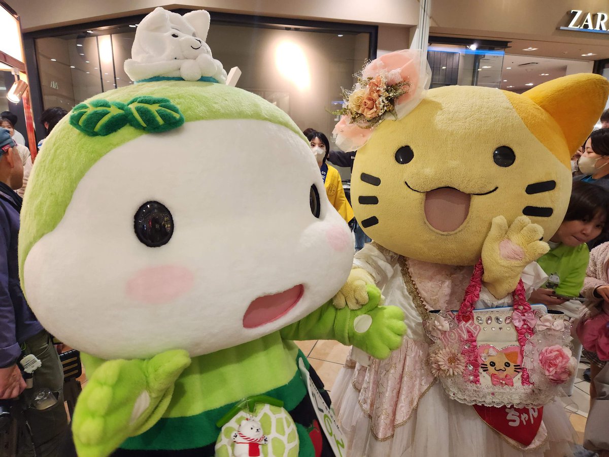 静岡県菊川市 #きくのん 妖精の国からきたにゃんよ 性格はおっとり、頭