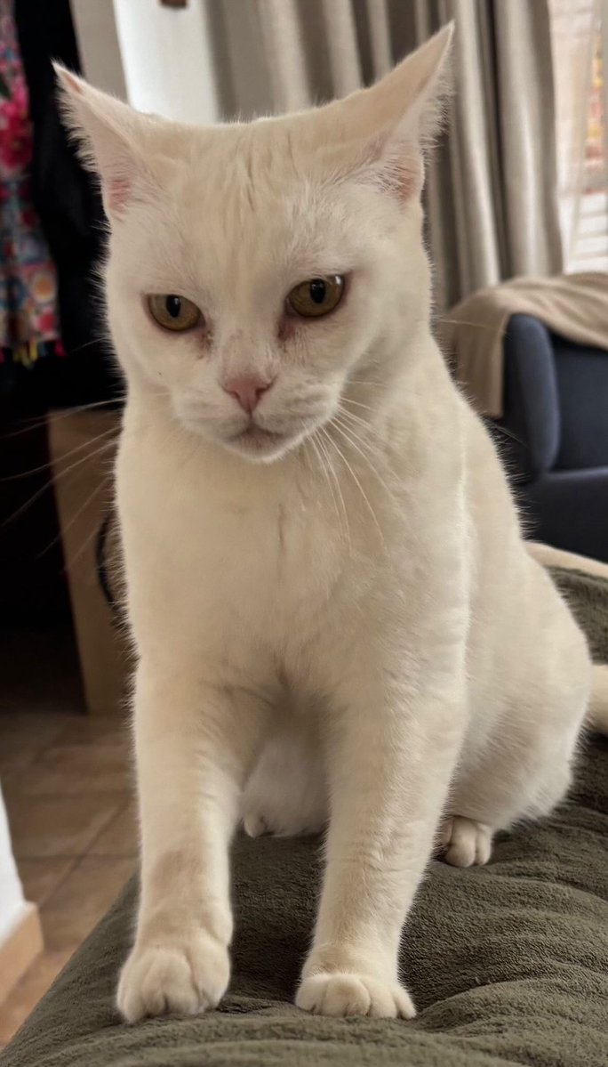 POR FAVOR, SON DE UN AMIGO, RT