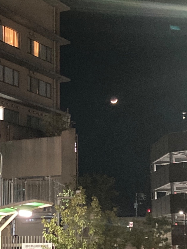 寒い寒いと言われていますが
一番寒かったのは風が強かった一昨日で、日々寒さは緩んでいると思います。
三日月がキレいだったので調布駅からの帰り道で撮影。
※またも調布市内だとはわかりにくい写真を上げてしまいました(反省)
#調布市 #寒波