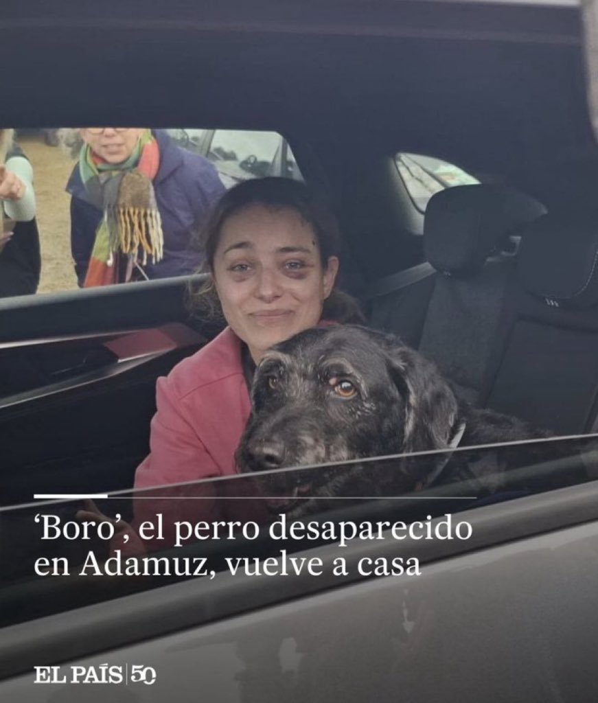 Esto es precioso 🥹 n.1 en tendencias. Todo el mundo celebrando que han encontrado a BORO 🥹💗