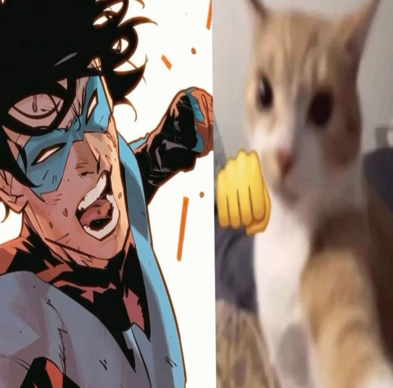 IREY !! ⋆˙⟡ tweet media