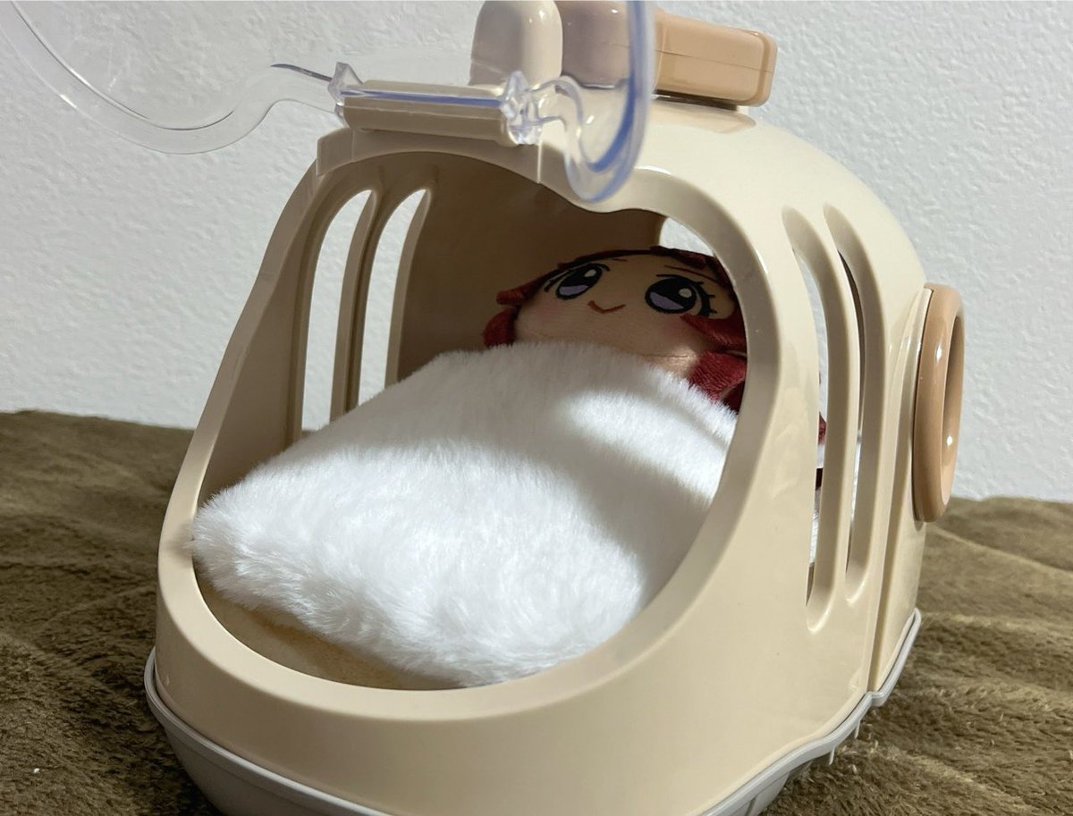 スリコのぬいハウス 
近場向きだけど，取っ手がついてるから
定員一名で快適にお出かけできる
(※毛布敷いてます)
 #初星学園ぬいぬい部