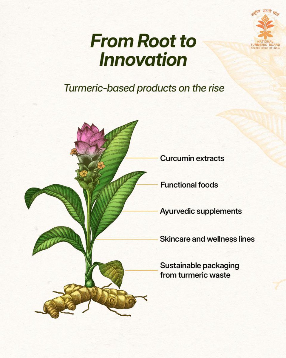 Advancing turmeric from a traditional agricultural crop to a high-value resource through innovation across nutrition, wellness, and sustainable applications.

#NationalTurmericBoard #TurmericInnovation #AgriValueAddition #SpiceSector #IndianAgriculture #SustainableGrowth