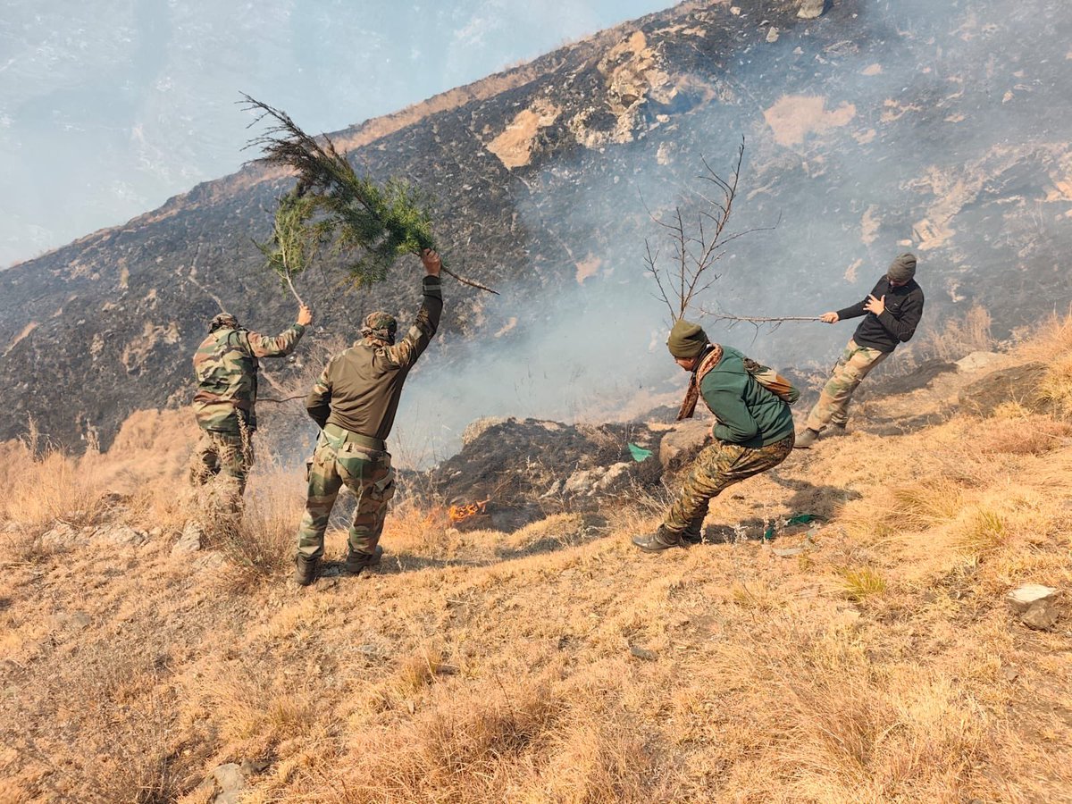 westerncomd_IA's tweet photo. #EcoTaskForce #ForestFire #SaveTheHills
Troops of B Coy, 133 Eco Task Force, #Western Command, responded with speed and precision to a forest fire in the Challotha area of #Kullu Forest Division.
Through swift firefighting drills, the blaze was contained and plantation safeguarded. Timely clearance of fire lanes also prevented spread to the adjoining #Panarsaforest, protecting newly afforested areas.
Salute to our eco-warriors for steadfast commitment to mission and environment.
@prodefencechan1
@adgpi