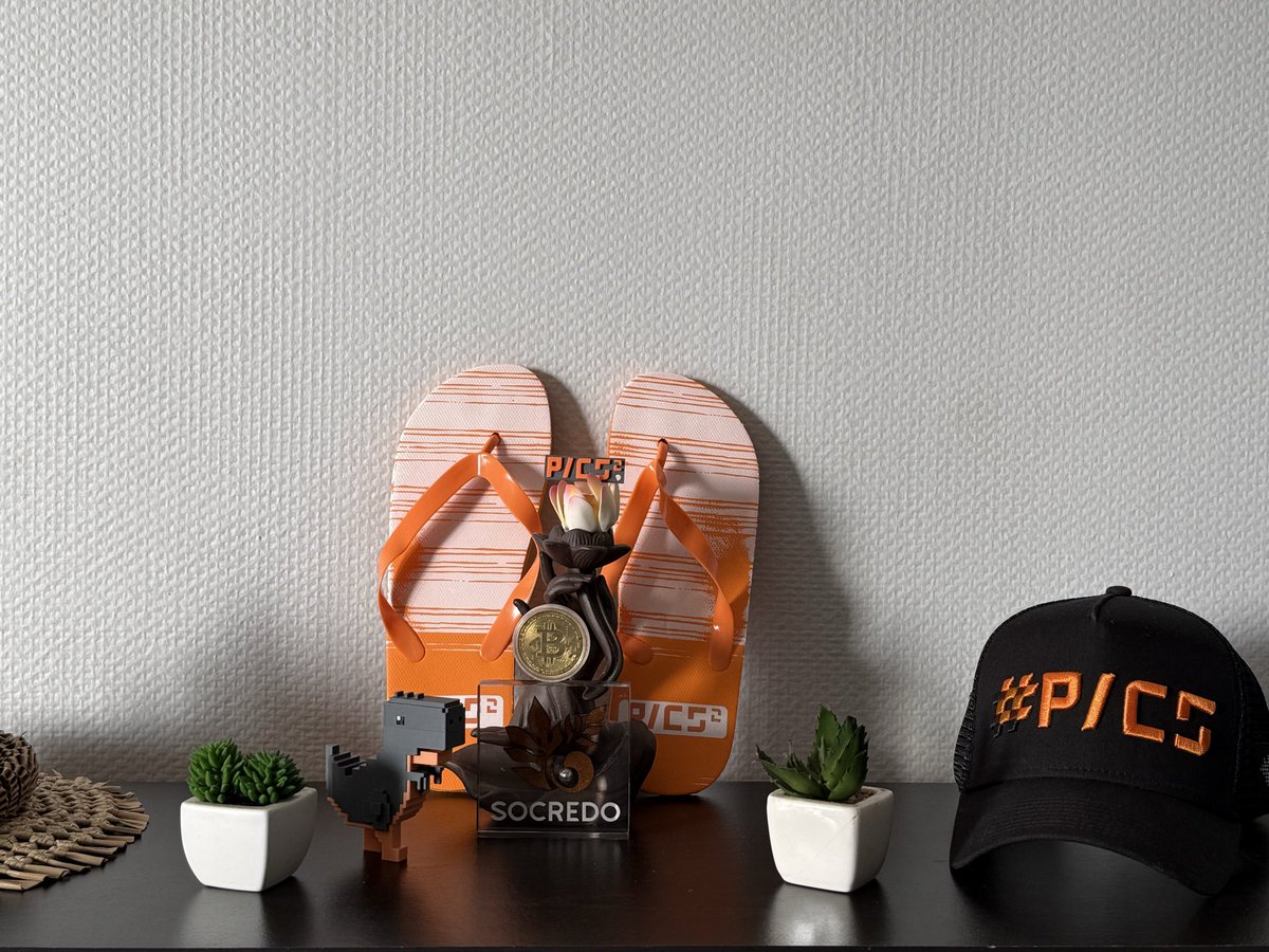 EnormozorTahiti's tweet image. #PICS2 à Tahiti 🇵🇫🏝️🤙 avec @YrileC et les @TontonsCrypto @JoinThePICS @CXR2026