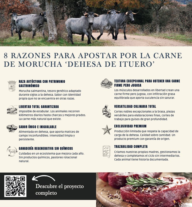 MORUCHA: UNA RAZA CON HISTORIA, SABOR E IDENTIDAD.
La carne más natural que existe.
Una carne que cuenta de dónde viene.