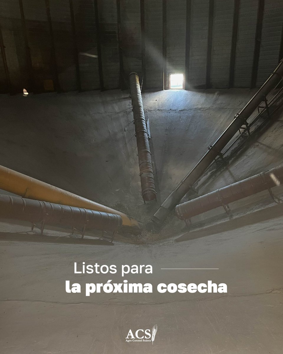 Finalizó la cosecha de trigo, pero nosotros no paramos 🙌.
 Seguimos acompañando al productor con nuestros servicios de acopio, brindando respaldo, logística y confianza en cada etapa 🚜🌾. 

#AgroCoronelSuárez #CosechaDeTrigo #Acopio #ServiciosAgro
