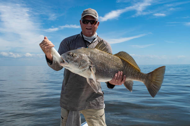 shrunga_m's tweet photo. Jon's Black Drum put up a solid fight on light tackle cruisin' the Tampa flats this morning! #TampaFLfishing #Inshorefishing

https://t.co/AUKD1dvRys https://t.co/zVFI6WrpKA