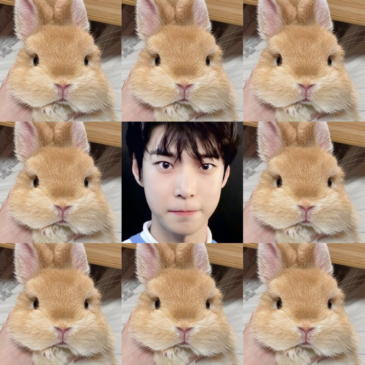 도영 D-501

I see no difference 😭

#도영 #DOYOUNG