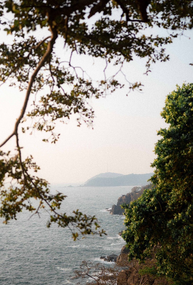 Danu Innasithamby tweet media