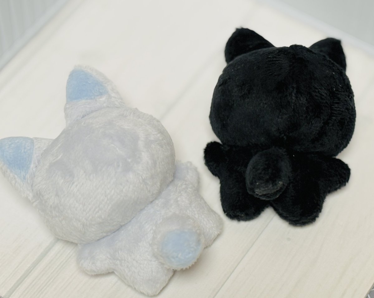 릴리피피🎀 tweet media