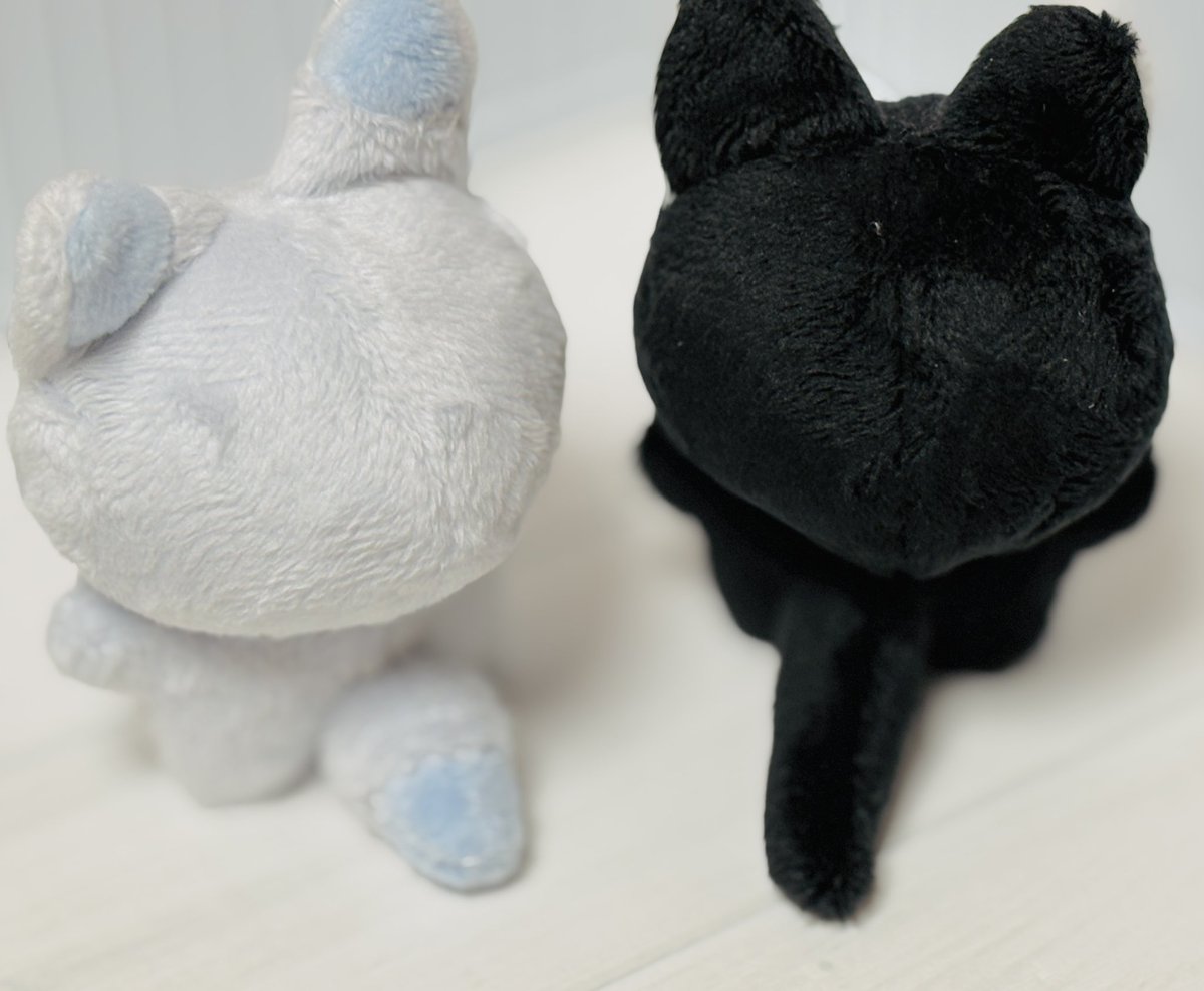 릴리피피🎀 tweet media