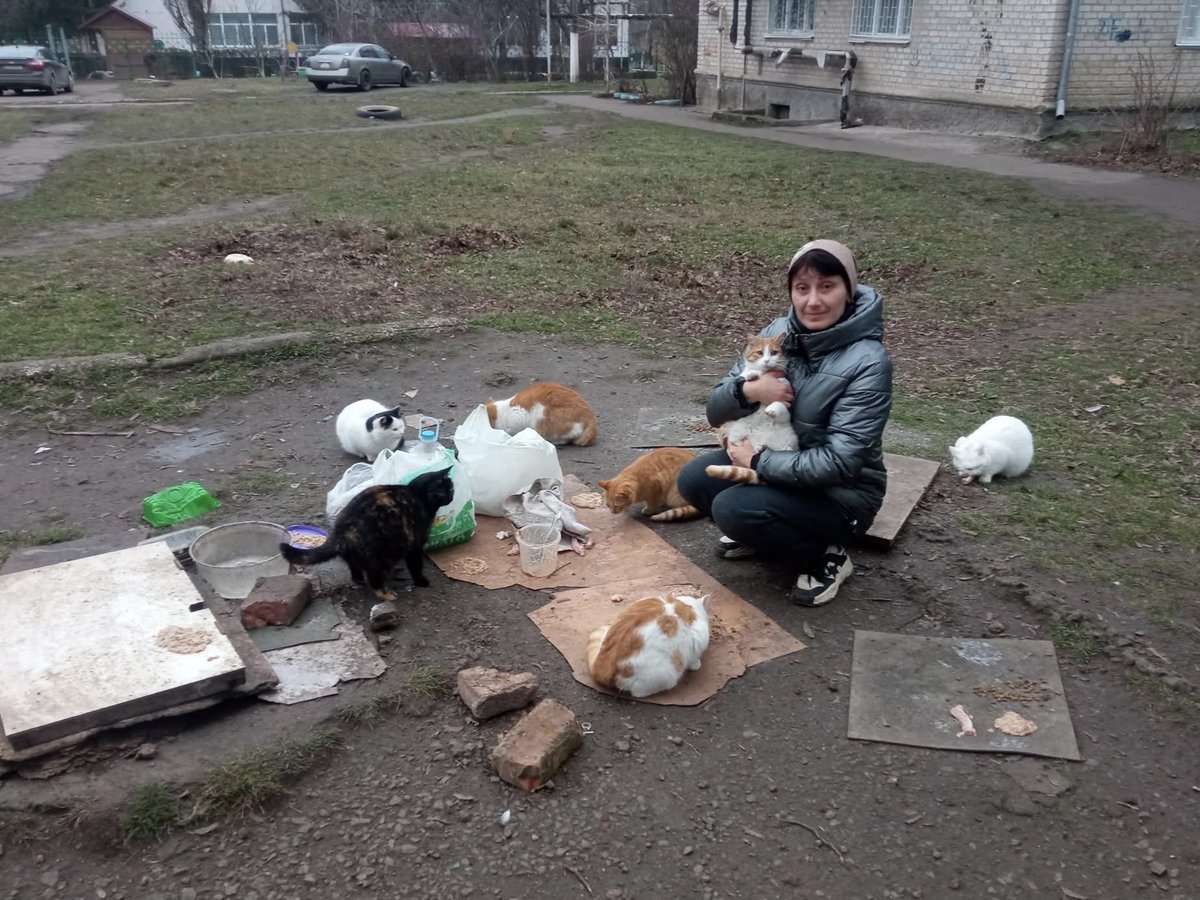 forgottenanimal's tweet photo. Over the past year, with our partners and volunteers, we made spay &amp; neuter, food, and vaccines accessible to hundreds of cats and dogs, supported shelters, and helped move animals to safer places.
Continuing your support in 2026 will help us reach even more animals in need 💛🐾 https://t.co/49NuXS4u62