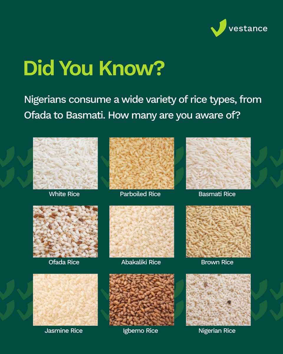 Nigeria’s rice basket is more diverse than many realise. From local varieties to imported staples, how many are you aware of?