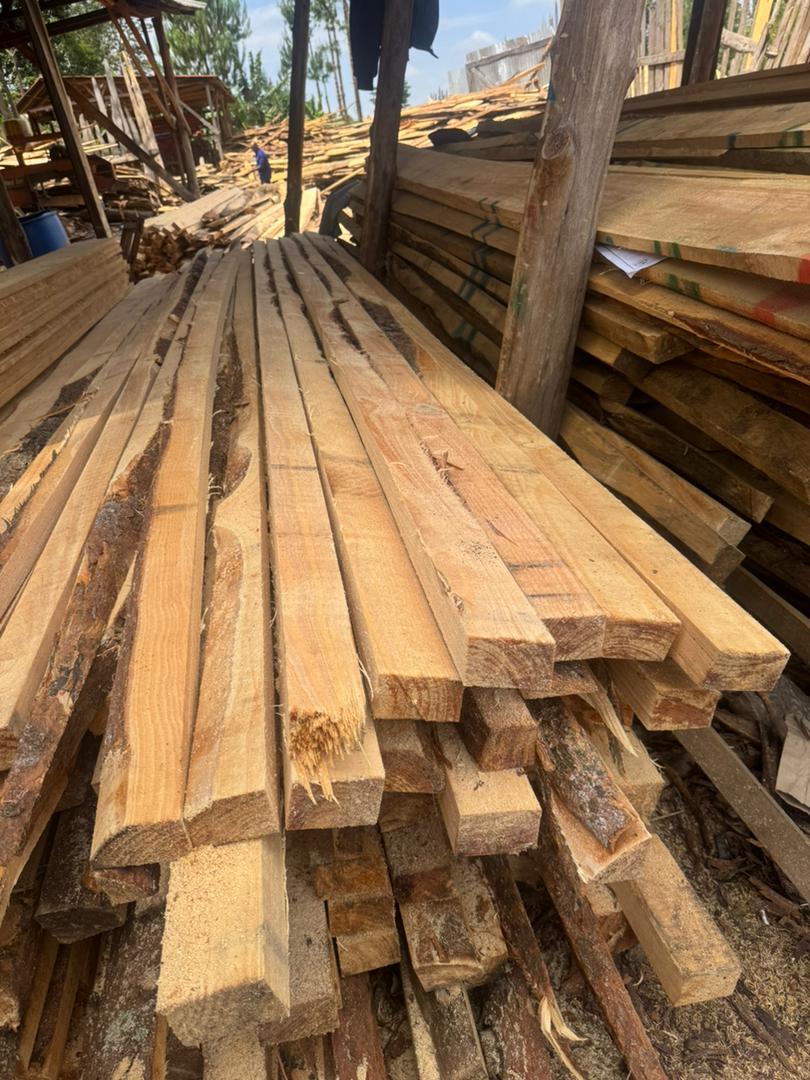 PapiiKhan98's tweet image. -Chukua hizo Banzi 300×3,500=1,050,000
-Chukua 2×3(Grade 2 )80x5,000=400,000
-Chukua hizo 2x2(Grade 2 ) 50x3500= 175,000.
-Misumari + Ufundi + Bati = 1,500,000
Jumla=3,125,000

Itabaki 1,875,000/= hii utaweka Sakafu na Choo Ndani.

Rombo Tarakea.😂😂😂🤝