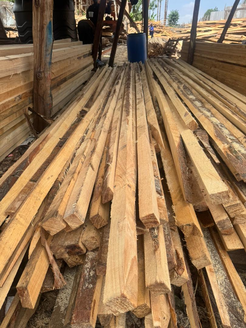 PapiiKhan98's tweet image. -Chukua hizo Banzi 300×3,500=1,050,000
-Chukua 2×3(Grade 2 )80x5,000=400,000
-Chukua hizo 2x2(Grade 2 ) 50x3500= 175,000.
-Misumari + Ufundi + Bati = 1,500,000
Jumla=3,125,000

Itabaki 1,875,000/= hii utaweka Sakafu na Choo Ndani.

Rombo Tarakea.😂😂😂🤝