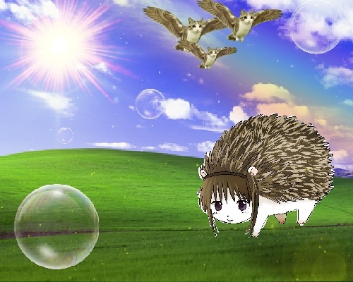 I went outside and quickly snapped this picture, this is a once in a life time view !!