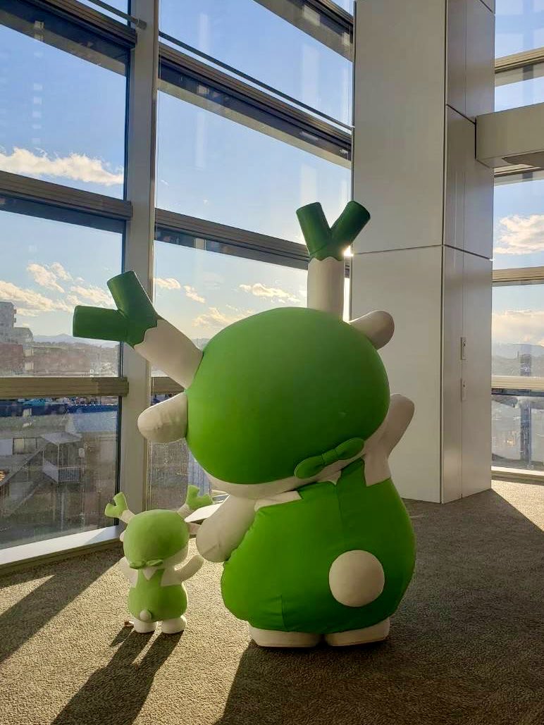 ふっかちゃん (@fukkachan) / Posts / X