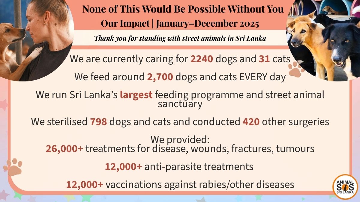Animal SOS Sri Lanka tweet media