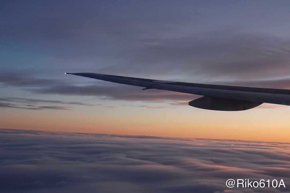 Blue751A's tweet image. 今日でJA754Aに初めて搭乗してから3年か
あの時はこれまで飛行機に乗った中で一番テンションが上がったなー