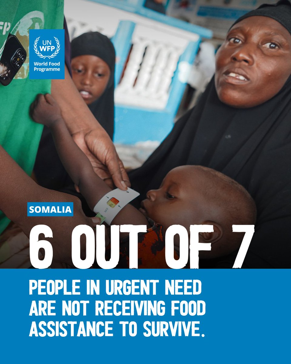 🚨 Breaking point in #Somalia: four consecutive failed rainy seasons and the driest conditions in decades are pushing communities into severe hunger. 

<a href="/WFP/">World Food Programme</a>'s reach has dramatically dropped and without new funding, millions will be left with nothing by April.