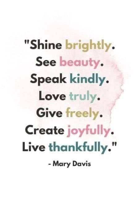 Erika Petrie@shadesofdifferent tweet media