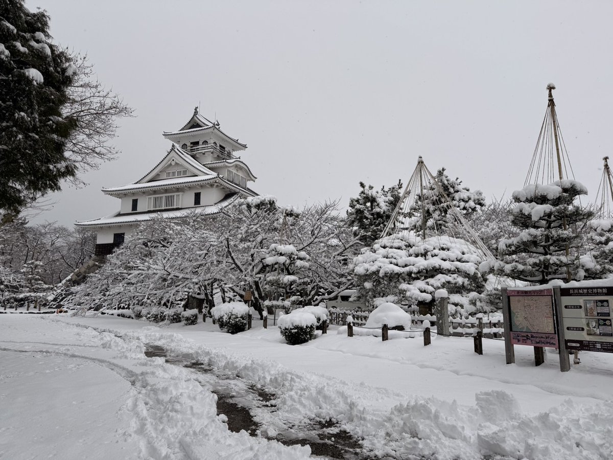 長浜城の雪景色なりよ✨️
降り積もった雪の中にそびえ立つ長浜城は圧巻なり！
みんなに来てもらえるように雪かきをしたなり！
安心して来てなりよ〜♡