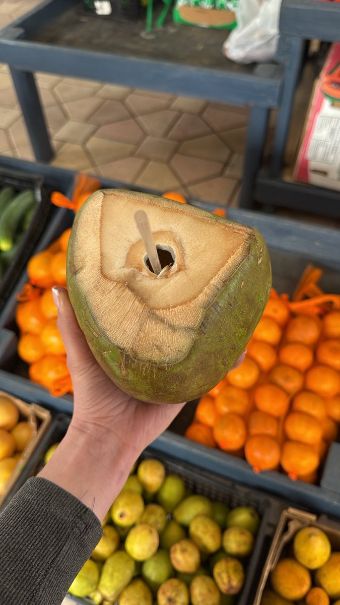 sammyjjammy's tweet image. #Redheads #selfie #coconut #MuseumSelfieDay