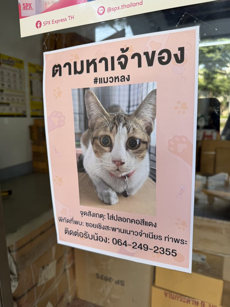 ใครอยู่บ้านแถวท่าพระ-เพชรเกษมซอยต้นๆ แงวใครหายแจ้งได้นะฮะ