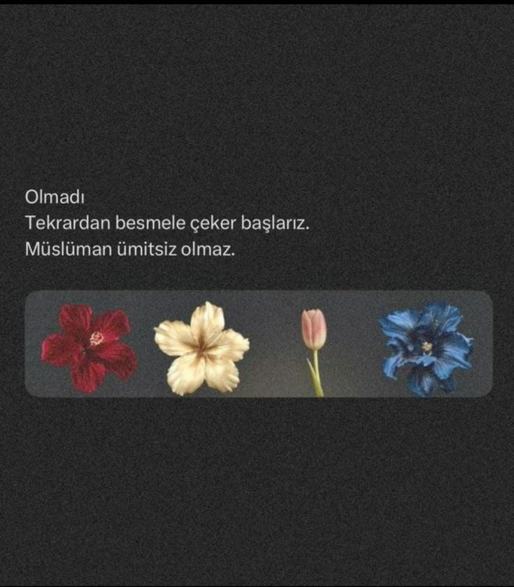 Müslüman ümitsiz olmaz.