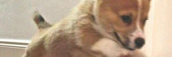 Jonathan Stevenson tweet media