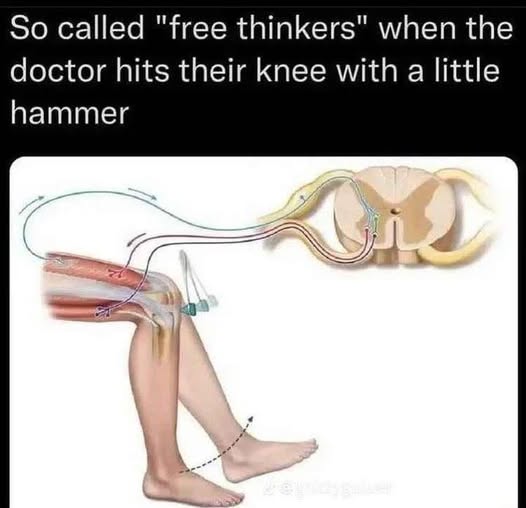 Orwell & Goode (@orwellngoode) on Twitter photo 