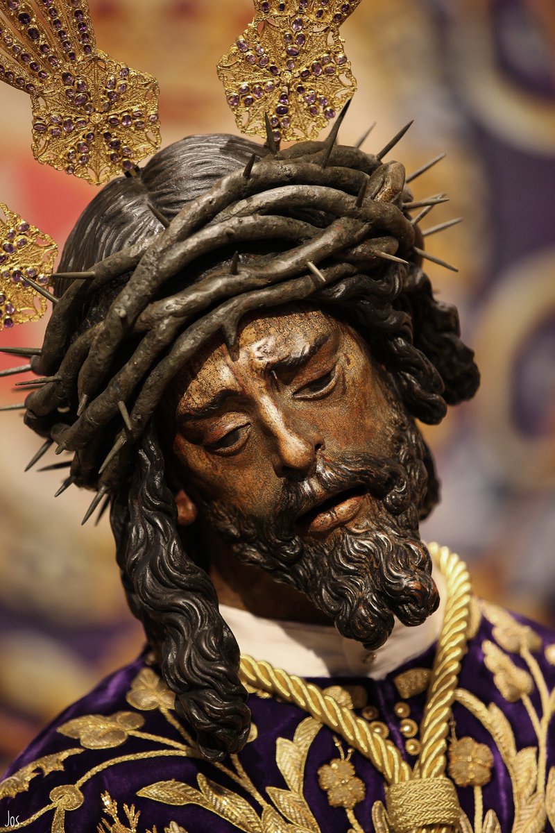 Jesucristo, nuestro Salvador, ha
vencido la muerte y ha hecho
resplandecer la vida por medio del
Evangelio.
Crf Timoteo 1,10