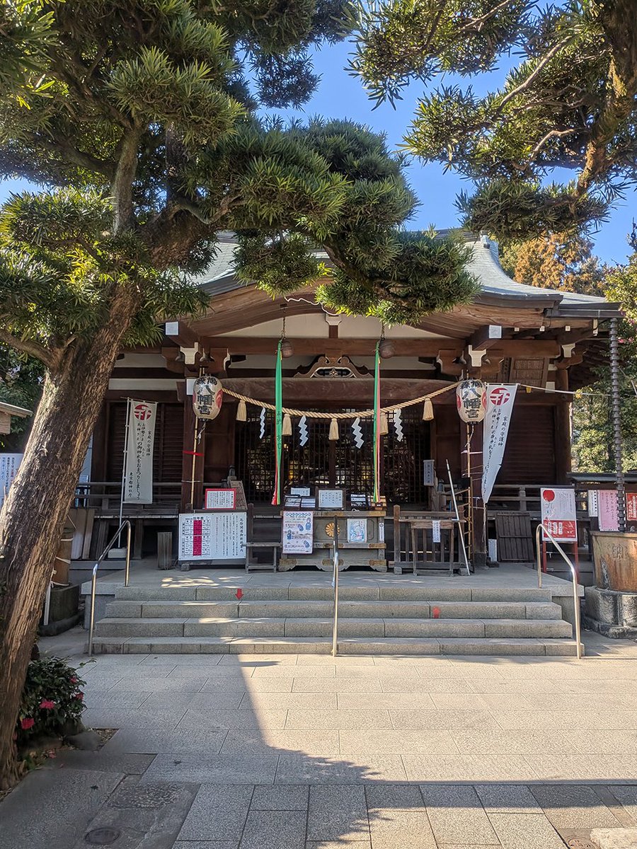 haku_sumi's tweet photo. 令和8年1月17日
東京都渋谷区の鳩森八幡神社を参拝し、御朱印をいただきました⛩️
将棋のまち・千駄ヶ谷に鎮座し、将棋ゆかりの神社としても親しまれています。
境内を回るだけでも楽しく、将棋堂や険しい冨士塚にも登りました🗻
きれいな花手水にも癒やされ、あっという間に時が過ぎました🌸
#御朱印 https://t.co/zSl7xNGeEw