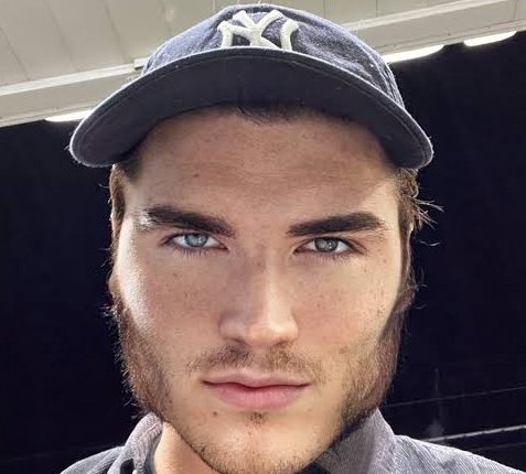 4ldebaran_'s tweet photo. How MICA looks at me after I plead and beg for them to release events in proper order like normal game devs do. https://t.co/F479WmBTzh