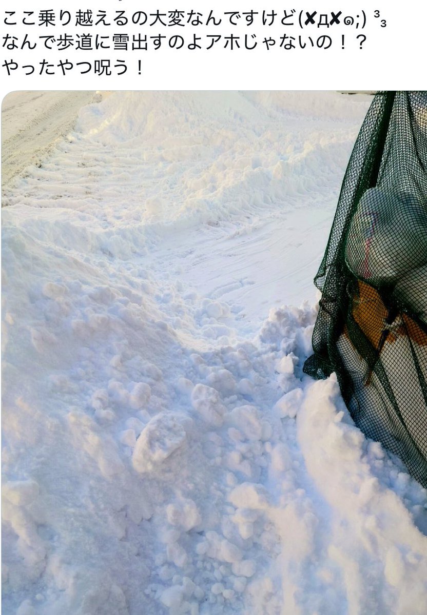 あじりん@激痛地質調査技士 (@hp1016sybpnmaj) / Posts / X